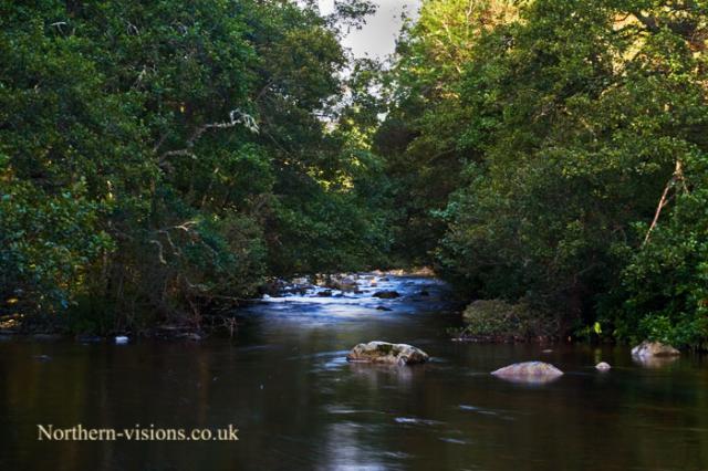 river-middle-1.jpg
